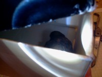 /album/galleria-fotografica/a2014-02-19-16-25-35-jpg/